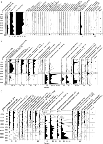 FIGURE 2. Pollen (a) and diatom diagrams (b) from Jeknajaure (1191 m a.s.l.) and diatom diagram from Niak (c) plotted against sediment depth. Black silhouettes represent percent and open silhouettes per mil occurrences. The first column shows calibrated ages; 0 corresponds to the coring date. Lines indicate statistically significant zones. Temperatures within parentheses are statistically significant July air temperature optima for the taxa. An optimum below the gradient in the training set is indicated by < and beyond the gradient by >; (-) indicates no statistically significant optimum. Only the most common taxa are shown