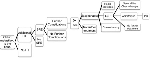 Fig. 1. Castration-resistant prostate cancer patient care pathway. HT, hormone therapy; SRE, skeletal-related events; Dx Proc, diagnostic procedures; EBRT, external beam radiation therapy; PC, palliative care.