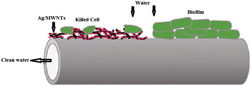 Figure 11 Schematic representation of representative disinfection methodCitation161