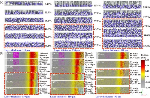 Figure 8. Packing structures of typical packing densities: (a) frontal Voronoi diagram of spread powder layer; (b) top views of spread powder layer morphology, where the left purple area refers to bonded layer (bonded particles).