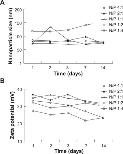 Figure 8 Stability of TAT-LHRH-chitosan/DNA complexes.Notes: (A) Size; (B) zeta potential.Abbreviations: N/P, free molar ratio of NH2/PO4; TAT-LHRH, transactivator of transcription – luteinizing hormone-releasing hormone.