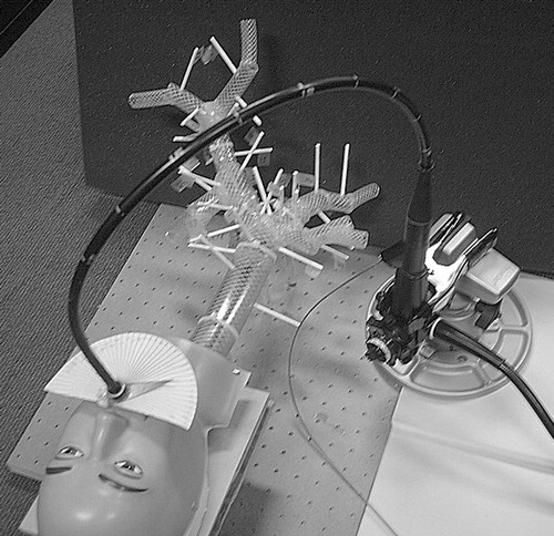Figure 19 Experimental setup, showing the lung and head phantom and the endoscope with the biopsy needle.