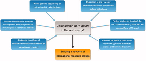 Figure 4. Future research directions. Important aspects for future studies investigating the potential colonization of H. pylori in the oral cavity: • Whole genome sequencing of oral H. pylori isolates. • Deposition of oral H. pylori in national or international culture collections. • Research on the VBNC state and the coccoid form of H. pylori. • Studies on the effects of saliva on viability of H. pylori and on the ability of H. pylori to colonize biofilms formed from oral bacteria in vitro. • Effects of consumed substances and reflux on the detection of oral H. pylori. • Cross-reaction tests with H. pylori-like microorganisms when using molecular or immunological methods. To achieve these goals, we advocate establishing a network of researchers who have reported isolating H. pylori from the oral cavity.