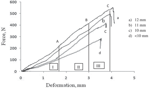 FIGURE 2 Force-deformation curves for two sizes of apricot pits along transverse axes at 5 mm/min loading rate of texture analyzer showing three stages of biomaterial deformation: I: transient; II: apparent linear elastic; III: plastic to failure point.