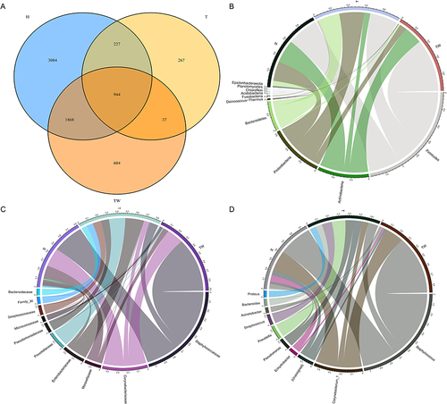Figure 2 Composition of bacterial colonies. (A) Venn diagram of sequencing results of the skin bacterial colony in three groups of subjects by OTU analysis; (B–D) assessment of bacterial colony structure in three groups of samples at phylum, family, and genus levels.