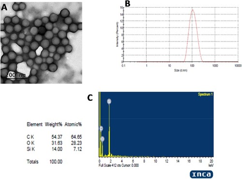 Figure 4 (A) Shows transmission electron microscopy analysis of nanoparticles, (B) represents size distribution of nanoparticles, (C) represents EDX analysis. Powder X ray diffraction.