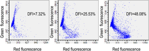 Figure 1 Sperm DFI as determined using flow cytometry and assessed with use of a sperm chromatin structure assay (SCSA). Three different levels of sperm DNA fragmentation rate are shown.