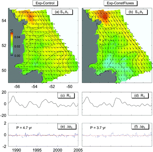 Fig. 12 Distributions of spatial amplitude (S 1) and phase (θ1; arrows), temporal amplitude (R 1) and temporal phase change (Δϕ1) of the first CEOF for the monthly mean temperature anomalies at 160 m over the Labrador and northern Newfoundland shelves in Exp-Control (left panels) and Exp-ConstFluxes (right panels). The red line in the bottom panels represents the averaged temporal phase change.