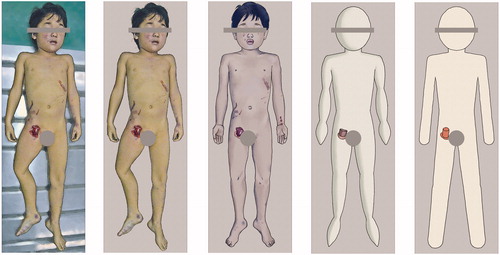 Figure 3. Part of Case 3 illustrations (different degrees with Shadow colouring). From the left: Realistic (includes background information), Realistic (does not include background information), Characteristics, Schematics (medium-low level of detail) and Schematics (very low detail).