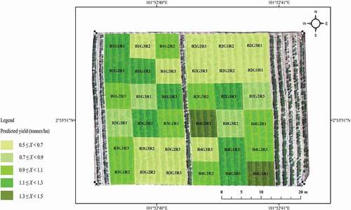 Figure 8. Map of predicted Bambara groundnut yield expressed as dry seed weight in tonnes/ha.