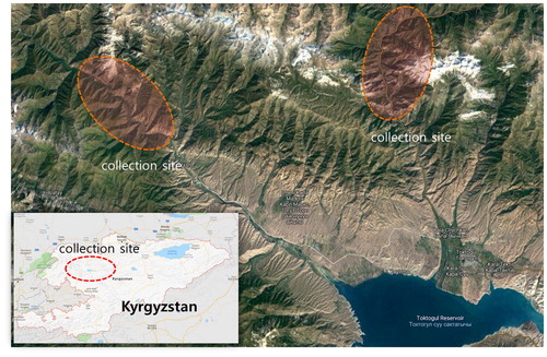 Figure 1. Map above is the regions of collection sites in Kyrgyzstan.