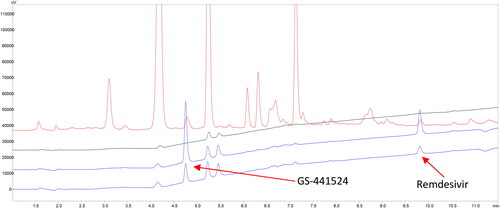 Figure 3. Chromatograms of blank plasma monitored at λex: 245 nm/λem: 395 nm (red trace) and at λex: 250 nm/λem: 475 nm (black trace). Blank plasmas pre-spiked with mixtures of GS-441524 & remdesivir [78.1 (lower blue trace) and 313 ng/mL (higher blue trace), respectively] monitored at λex: 250 nm/λem: 475 nm.