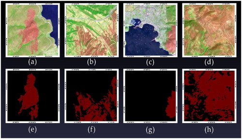 Figure 3. Samples of four images and masks of the dataset, (a, b, c, d) showing the images in false-colour composite (Red = B12, Green = B08, Blue = B02), (e, f, g, h) showing the binary mask of wildfire with red colour and black.