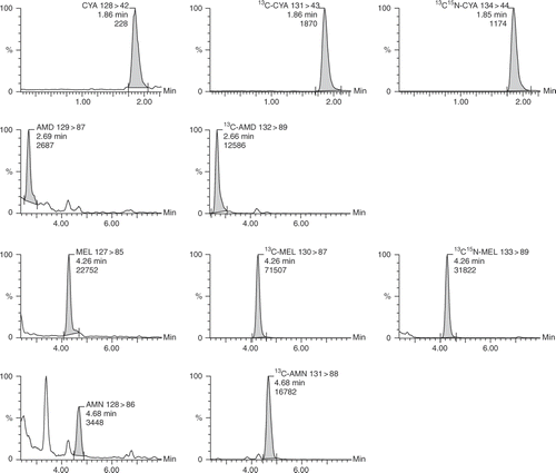 Figure 2. Chromatograms of the quantitation MRM transitions for an infant formula sample, fortified at 0.05 mg kg−1 (CYA) and 0.01 mg kg−1 (MEL, AMN and AMD); internal standards are 0.25 mg kg−1 (CYA) and 0.025 mg kg−1 (MEL, AMN and AMD).