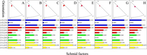 Figure 4. Orientation evolution of the specimen at different deformation stages and corresponding Schmid factors for twelve {111} 〈110〉 slip systems.