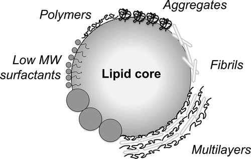 Figure 4. Schematic representation of materials at an oil-water interface; drawing is not to scale.