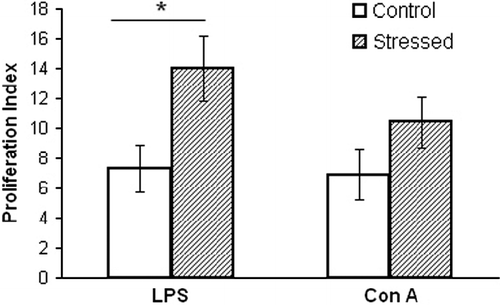 Figure 3.  Spleen lymphocyte response to the mitogens, LPS, and Con A, was tested in 15-week-old mice after stress conditioning, and controls. The PI was calculated in each mouse as the ratio of lymphocytes incubated with and without mitogen. The stressed mice demonstrated a greater lymphocyte response. *Denotes significant differences between the groups; P < 0.05, (ANOVA followed by post-hoc LSD). Values are expressed as mean ± SEM (n = 10 per group).