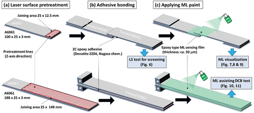 Figure 4. Schematic illustration of preparation flow for (a) Laser surface pre-treatment; (b) Adhesive bonding, and (c) Application of ML paint to SLS and DCB test specimens.