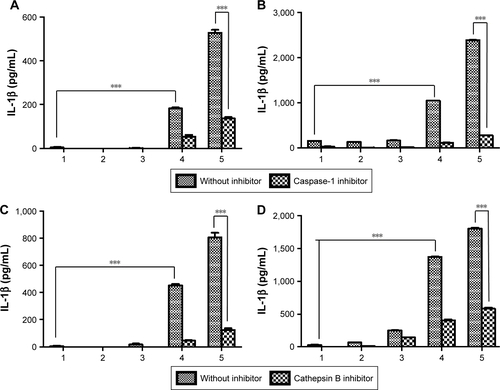 Figure S3 Effect of inflammasome inhibitors.Notes: Secretion of IL-1β after incubation of BMDMs (A) and BMDCs (B) with caspase-1 inhibitor. Secretion of IL-1β after incubation of BMDMs (C) and BMDCs (D) with cathepsin B inhibitor. All data were obtained in triplicate and are presented as a mean value ± SD. ***p<0.001. The concentration unit of X-axis is µg mL−1 (1: control, 2: 1 µg mL−1, 3: 2 µg mL−1, 4: 5 µg mL−1, 5: 10 µg mL−1).Abbreviations: BMDCs, bone marrow-derived dendritic cells; BMDMs, bone marrow-derived macrophages.