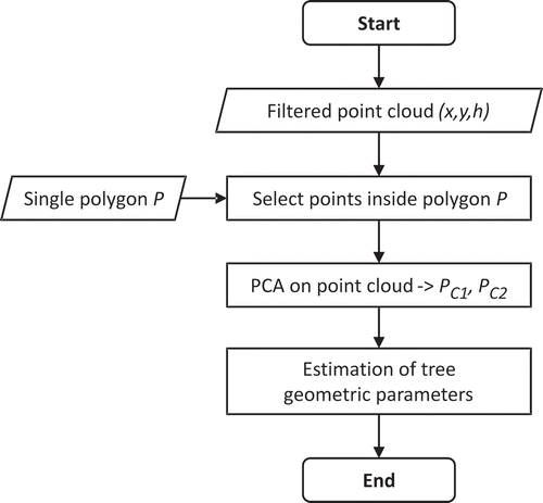 Figure 5. The processing scheme for the estimation of dendrometric parameters.