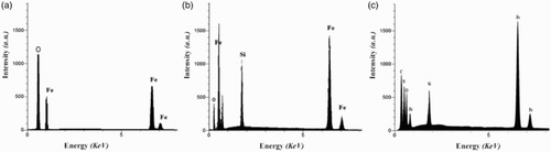 Figure 1. EDX spectra of Fe3O4 (a), Fe3O4@SiO2 (b), and Fe3O4@SiO2@–NH2 (c) NPs.