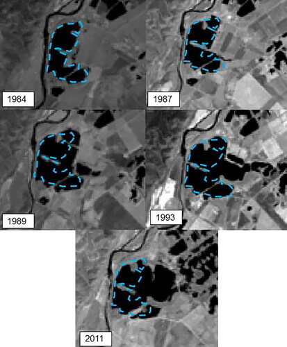 Figure 4. Porcal lake development from 1984 to 2011, with the assumed shape in this research (light blue dashed line).