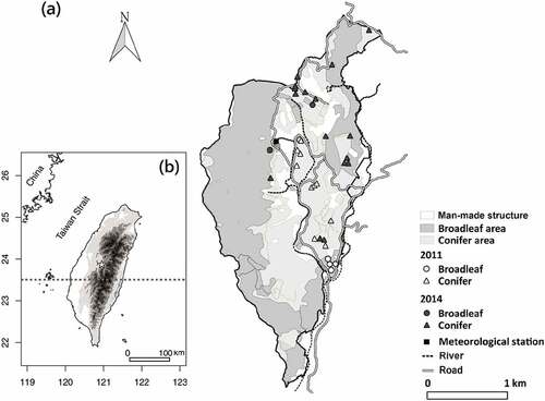 Figure 1. (a) The study site, Lienhuachih Experimental Station, located in (b) the mountainous region of central Taiwan (the dashed gray line is the Tropic of Cancer). The sample sites are shown as circles (broadleaf species plots) and triangles (conifer species plots).