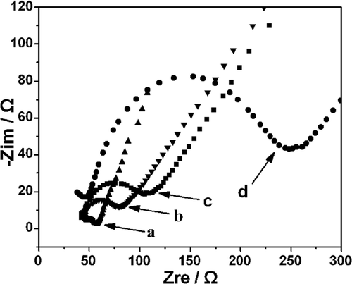 Figure 8. Nyquist plots of EIS in 5 mM [Fe(CN)6]4– with 0.1 M KCl at Chi/GCE (a), bare GCE (b), S-MWCNTs/Chi GCE (c) and L-MWCNTs/Chi GCE(d).