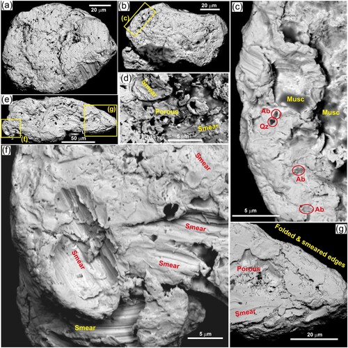 Figure 7. External morphology of detrital gold from Rakaia Gorge sandy gravel bar. A, Equant particle. B, Equant particle with protrusion. C, Folded rim of particle in b, with mineral inclusions (Ab = albite; Qz = quartz;) and muscovite adhering to surface. D, Incipiently smeared and deformed surface partially covering porous gold. E, Elongate particle. F, Multiply smeared edge of particle in E. G, Multiple superimposed smearing features on the end of particle in e largely covers porous gold (centre left).