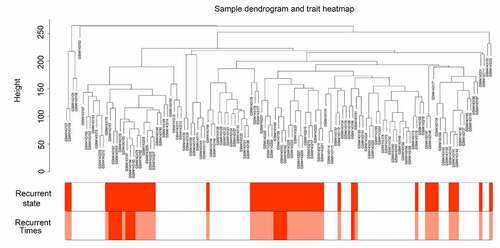 Figure 1. Sample tree clustering and clinical trait heatmap of 70 primary and 47 recurrent glioblastoma multiforme (GBM) samples. For sample tree clustering, there were no samples with height > 300, and all samples were used for the weighted gene co-expression network analysis (WGCNA). For the construction of the clinical trait heatmap, the recurrence state contained two parts classified as with or without recurrence (with recurrence is shown in red, and without recurrence is shown in white); recurrence time contained three parts classified as non-recurrence, recurrence once, and recurrence twice (non-recurrence is shown in white, recurrence once is shown in pink, and recurrence twice is shown in red). The clinical trait heatmap shows the information of all the traits. All the traits could be used for WGCNA