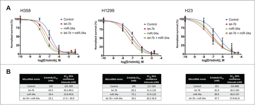 Figure 2. Potentiation of the effect of erlotinib by let-7b and miR-34a over a wide range of erlotinib concentrations. (A) H358, H1299, and H23 cells were transfected with 25 nM of a control mimic, mimics of let-7b, miR-34a, or a half dose of each let-7b + miR-34a. 48 hours after transfection, cells were treated with erlotinib in a serial dilution series. Cell survival was determined following incubation for 72 hours via the sulforhodamine-B (SRB) assay, and normalized survival was calculated for each miRNA treatment. 100% normalized survival is defined as the cell survival of miRNA-transfected cells treated with DMSO as a vehicle control, and 0% normalized survival is defined as the cell survival of untransfected cells treated with 50 μM erlotinib. Plotted: mean ± s.d.; n = 3 . (B) Erlotinib EC50 values and their 95% confidence intervals were calculated for each for each miRNA mimic treatment.
