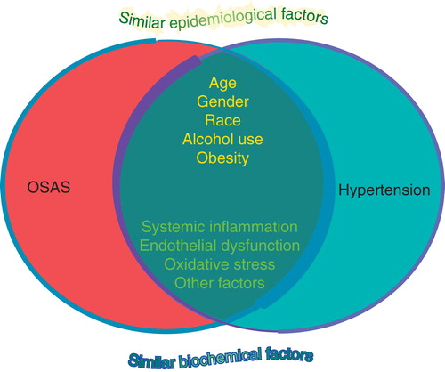 Figure 1. Convergence of epidemiological and biochemical variables in patients with OSAS and essential hypertension.