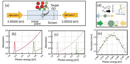 Figure 9. (a) Model of counter-propagating waves in liquid helium. An imaginary screen at z = +7.5 μm is assumed that catches and fixes the QDs. (b) Absorption spectra of the QDs. Red and green lines represent Groups 1 and 2, respectively. The total number of QDs for each group is 100 000, and the energy interval is 20 μeV. (c) Absorption spectra of QDs that have reached the screen after 0.16 ms irradiation of light waves. The peak structures indicate that the targeted QDs within the highly limited range of transition energy are selectively transported. The other small numbers of QDs around the sharp peak are considered to have reached the screen stochastically by Brownian motion. The spectra of all QDs are represented by dotted lines for reference. (d) Schematic of the method to achieve a balance between the forces on the diamond as the mother matrix (scattering forces) using resonant and non-resonant light. Using two non-resonant light waves, it is possible to estimate the contribution of force arising solely from the diamond (outlined arrows) when the NVND is irradiated by a resonant light wave. Using counter-propagating light waves that realize a balance between the background forces, we can extract the pure contribution of the resonance (green filled arrows). (e) Photon energy spectrum of the transport distance of the NVND obtained by Brownian simulation and the fitting curve by the Lorentz function. The resonance center ω0 = 2.320 eV and the dephasing constant of the NV center γ = 19.35 meV are obtained as fitting parameters. The original values are assumed to be ω0 = 2.320 eV and γ = 20 meV. See Ref [Citation67] for details of the model and calculations. (Reprinted with permission from Ref [Citation67].)