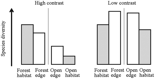 Figure 1. Expected theoretical patterns of plant species diversity in high- and low-contrast situations between forest and open habitats. In low-contrast situation, edge effect is assumed to be positive, i.e. more species are encountered in the edge than in the core habitat (in grey), whatever the side (forest or open). In high-contrast situation, it is assumed to be mixed (see the text for details).