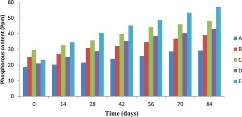 Figure 3. Total phosphorus content of soil during diesel biodegradation.