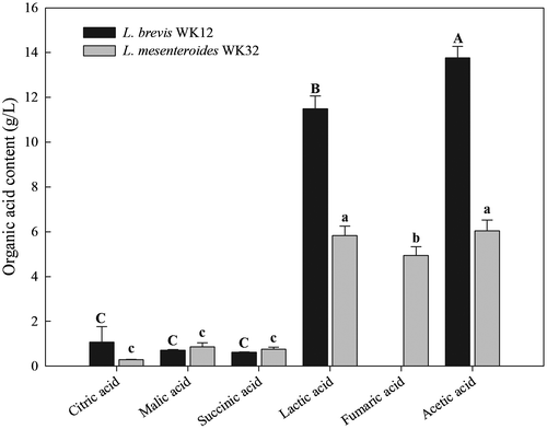 Figure 2. Organic acid content (g/L) in CFSs produced by Lactobacillus brevis WK12 and Leuconostoc mesenteroides WK32 after fermentation.
