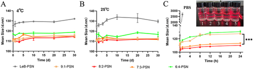 Figure 3 The particle size variation of different nanoparticles after storage at 4°C (A) and 25°C (B) for 30 days, and stability assessment in phosphate-buffered saline (PBS, pH 7.4) over 24 hours (C). Insert: the Tyndall effect image with different nanoparticles of Leb-PSN (1), 9:1-PSN (2), 8:2-PSN (3), 7:3-PSN (4) and 6:4-PSN (5) under direct laser beam irradiation. Data are presented as mean ± SD, n=3. Statistical analysis was performed using two-tailed Student’s t-test, ***P < 0.001.