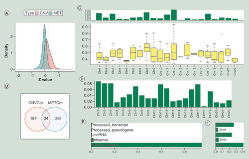 Figure 1. Characteristics of CNVcor genes and METcor genes in pancreatic cancer. (A) The Z-values’ distribution diagram of correlations between gene expressions and CNV or MET based on the samples of pancreatic cancer, respectively. The y-axis represents density profile. Red areas show the correlation between gene expressions and copy number variation. Green areas indicate the correlation between gene expressions and DNA methylation. (B) The overlap between CNVcor genes and METcor genes visualized by the Venn diagram. Red circle stands for the CNVcor genes. Blue circle stands for the METcor genes. The percentage of overlapped genes to CNVcor and METcor genes is 16.9 and 11.5%, respectively. (C) The chromosomal distributions of CNVcor genes are presented in the top panel. The bottom panel indicates the correlations between chromosomes and CNVcor genes. The y-axis in the top panel stands for the ratio of CNVcor genes on different chromosomes. In the bottom panel, the y-axis means the correlation coefficients between CNVcor genes and corresponding chromosomes. (D) The chromosomal distributions of METcor genes. The y-axis stands for the proportion of METcor genes on different chromosomes. (E) The gene function annotation for METcor genes. The x-axis represents ratio of METcor genes separated by different functional types. (F) The distribution proportion of METcor genes locations. The x-axis means proportion of METcor genes separated by different methylated locations.CNV: DNA copy number variation; MET: DNA methylation.