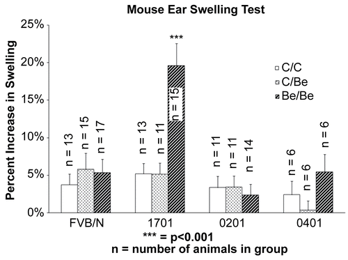 Figure 1.  Beryllium-induced ear swelling in transgenic mice. The difference between the controls (C/C and C/Be) and the treatment (Be/Be) group are only statistically significant for the mice that possess the highest risk allele, HLA-DPB1*1701.