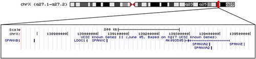FIGURE 1  The SPANXA-E gene family is located at Xq27.1-.2 across a 700 kb region at chrX:139,875,000–139,500,000. This UCSC Genome Browser image downloaded in August 2009 using the July 2003 human genome track and Known Gene II function.