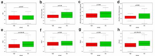 Figure 9. Correlation between PRS and immune checkpoint regulators. (a-d) The association between PRS and IPS in UCEC patients. (e-h) The association between PRS and the expression of checkpoints in UCEC patients