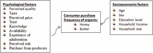 Figure 1. Conceptual framework of the study.