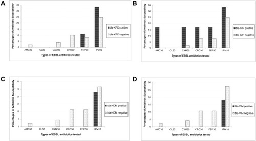 Figure 2 Impact of Extended Spectrum β-lactamase (ESBL) genes on the phenotypic susceptibilities of β-lactam antibiotics. The comparative susceptibilities of the ESBL-positive and -negative isolates were evaluated against selected b-lactam antibiotics, namely Amoxycillin+Clavulinic acid (AMC 30 µg), Cefepime (FEP 30 µg), Cefuroxime Sodium (CXM 30 µg), Cephalexin (CL 30 µg), Ceftriaxone (CRO 30 µg), Imipenem (IMP 10 µg). (A). The Y-axis values of black bars indicate the percentage of ESBL gene-carrying isolates showing as susceptible against respective antibiotics shown on the X-axis. Similarly, the white bars illustrate the percentages of susceptible isolates that do not carry the respective ESBL genes. Susceptibilities of (A) blaKPC-positive (n=9) and -negative (n=49), (B) blaIMP-positive (n=6) and -negative (n=52), (C) blaVIM-positive (n=11) and -negative (n=47), and (D) blaNDM1-positive (n=13) and -negative (n=45), isolates are shown separately.