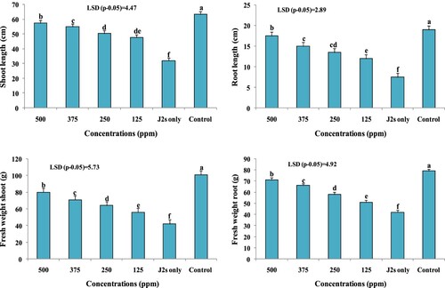 Figure 11. Nematicidal effect of varying TiO2 NPs concentrations on growth parameters of J2s inoculated carrot plants. The treatment with same letter is not significant and treatment with different letter (like a, b, c, d, e, f …  …  …  …) are significant (P > 0.05) according to DMRT.