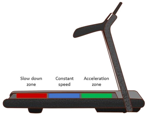 Figure 2. Treadmill with automatized gait speed function.