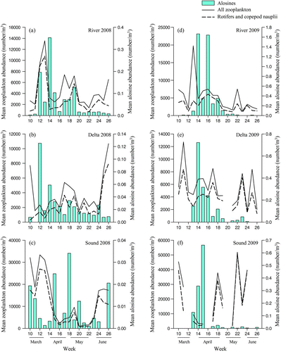 FIGURE 9 Zooplankton and larval alosine spatiotemporal overlap in (a) River in 2008, (b) Delta in 2008, (c) Sound in 2008, (d) River in 2009, (e) Delta in 2009, and (f) Sound in 2009. Note the differences in the scale of the y-axes (left and right).