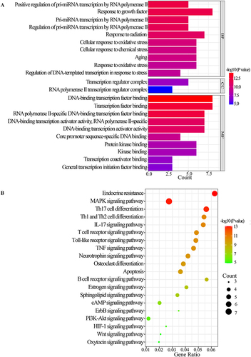 Figure 7 GO and KEGG analyses. (A) GO enrichment analysis. (B) KEGG pathway enrichment analysis.