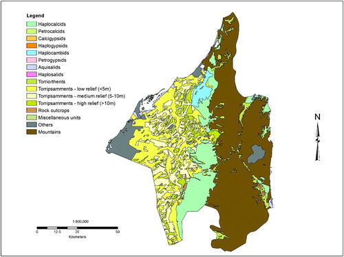 Figure 6. Soil map of the Northern Emirates (CitationEAD, 2012).