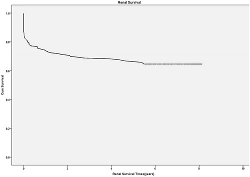 Figure 4. Kaplan–Meier curves for renal survival after hospital discharge.