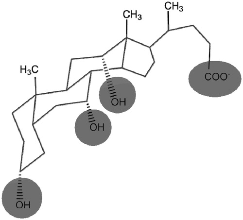 Figure 2. Structural formulas of sodium cholate.